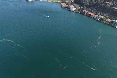 Boğaz’da alarm veren görüntü: Kirlilik denizanasını yüzeye çıkardı