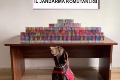 Bolu’da 150 adet elektronik sigara ele geçirildi