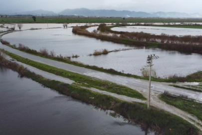 Büyük Menderes nehrindeki taşkın karayolunu kapattı