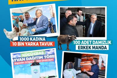 Büyükşehir ile Kayseri, hayvancılıkta yükselişte