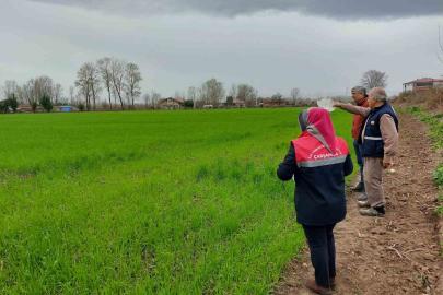 Çarşamba’da fenolojik gözlem ve destekleme çalışmaları