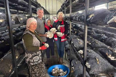 Çarşamba’da mantar hasadı etkinliği