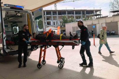 Ceviz ağacından düşen yaşlı adam ağır yaralandı