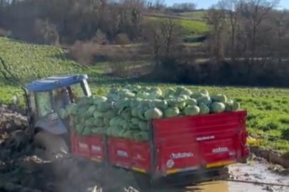 Çiftçinin zor anları