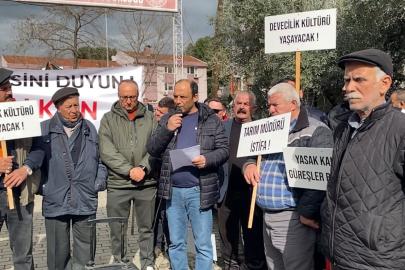 DEGÜF üyeleri deve güreşlerinin yapılmamasını protesto etti
