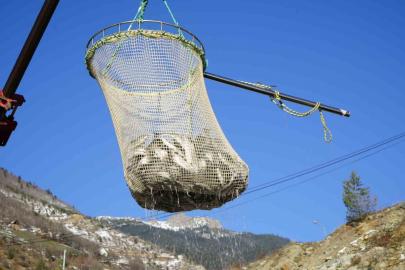 Denizi olmayan Gümüşhane’de alabalık üretimi 2 bin tona ulaştı