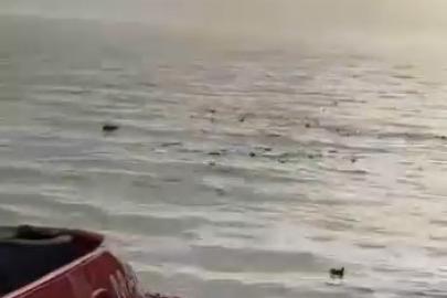 Denizi şehir çöplüğüne çevirdiler