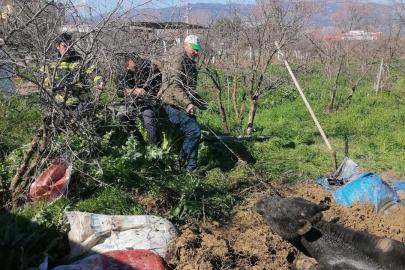 Denizli’de foseptik çukuruna düşen inek itfaiye ekiplerince kurtarıldı