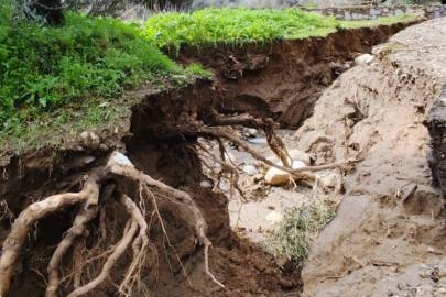 Dere suları yön değiştirdi, zeytinlikte ikinci yatak oluştu