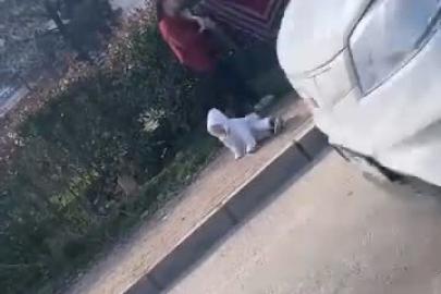 Dilenci kadınların kavgası kamerada: Kucağındaki bebek yere düştü