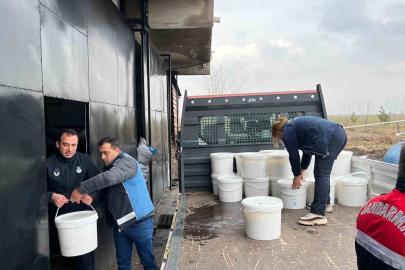 Diyarbakır’da 5 işletmede ele geçirilen 460 kilogram peynir imha edildi