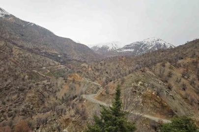 Diyarbakır’da kayıp yaşlı adam 11 gündür aranıyor