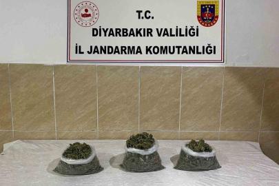 Diyarbakır’da uyuşturucu operasyonları: 12 şüpheli hakkında işlem yapıldı