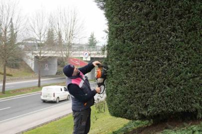 Düzce’de bahar hazırlıkları başladı