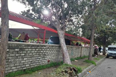 Efekent Pazaryeri’nde rüzgar ağacı devirdi