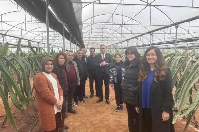 "Efeler’de Pitaya Güçleniyor" projesi incelendi