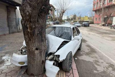 Ehliyetsiz sürücünün kontrolünü kaybettiği otomobil ağaca çarptı... O anlar kamerada