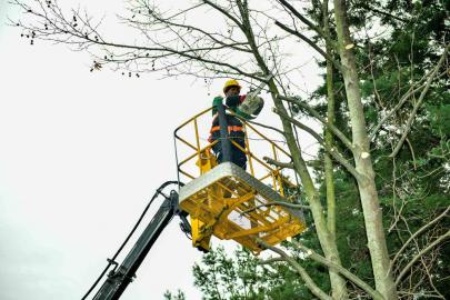 Esenyurt’ta bahar hazırlıkları başladı: Ağaçlar budanıyor