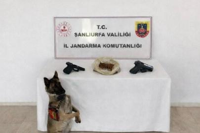 Eyyübiye’de uyuşturucu operasyonu: 1 tutuklama