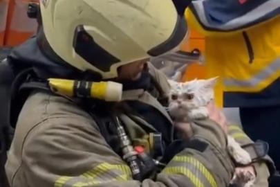 Fatih’te metruk binada çıkan yangın yanındaki ahşap binaya sıçradı: Bir kedi kurtarıldı