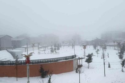 Hakkari’de karla karışık yağmur ve sis etkili oldu