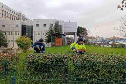 Hastane bahçelerinde budama ve bakım çalışması yapılıyor