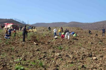 Hatay’da orman yangınından zarar gören alanlarda 5 bin fidan toprakla buluşturuldu