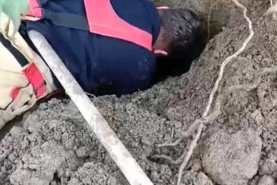 Hatay’da toprağın kaymasıyla göçük altında kalan yavru köpekler kurtarıldı