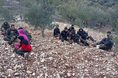 Hatay’da zeytinlik alanda 30 düzensiz göçmen yakalandı
