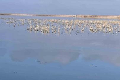 Her damlanın Eber Gölü’ne ulaşması için topyekun mücadele