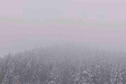 Ilgaz Dağı’nda kar yağışı etkili oldu