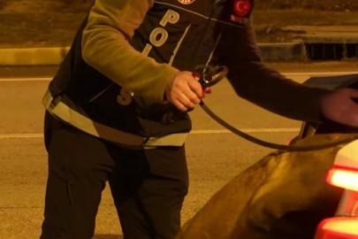 Isparta’da denetimlerde 32 bin 878 şahıs sorgulandı