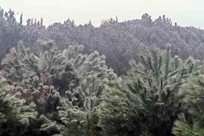 İstanbul’da yüksek kesimlerde kar yağışı başladı