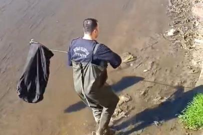 İtfaiye ekipleri dereye düşen horoz için seferber oldu