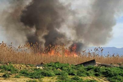 İznik’te rüzgarla birlikte sazlık yangını büyüyor