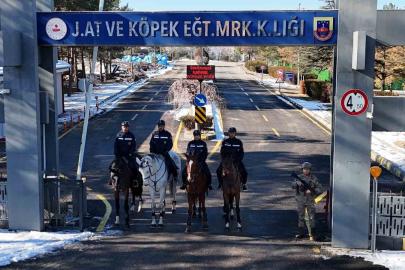 JAKEM’de atlar eğitimde