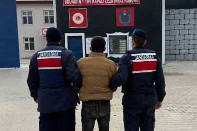 Jandarma aranan 50 kişiyi gözaltına aldı