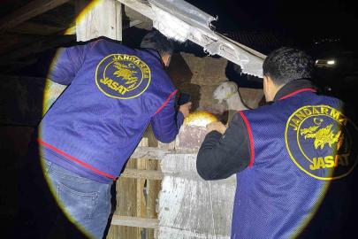 Jandarma kayıp 5 koyun için 3 iş yeri ve 9 meskene ait toplam 24 saatlik güvenlik kamerasını saniye saniye inceledi