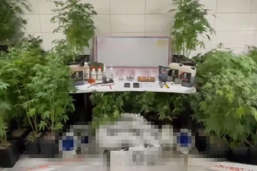 Jandarmadan uyuşturucu operasyonu: Evde üretim düzeneği kurmuş