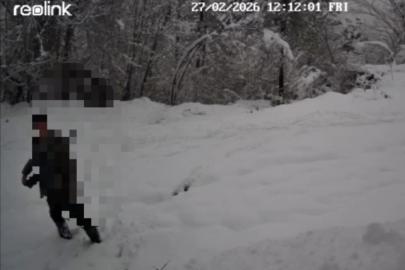 Kaçak avlanan şahıs fotokapana yakalandı