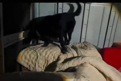 Kamyonet kasasında battaniyeyle saklanan 11 kilo 200 gram uyuşturucu yakalandı