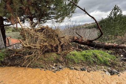 Karacasu’da aşırı yağışlar sonrası toprak kaydı, ağaçlar devrildi