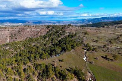 Karlar eridi, yaylalar yeşile bürünmeye başladı