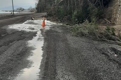 Kastamonu’da heyelanda istinat duvarını aşan ağaçlar yola kadar geldi