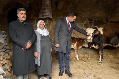 Kaymakam Kaya’dan üretici anneye umut olan destek