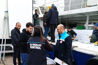 Kırklareli’de hamsi sevkiyatlarına denetim