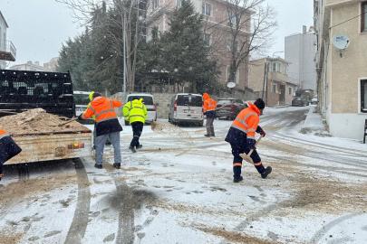 Kırklareli’nde solüsyonla ilaçlama ve tuzlama çalışmaları