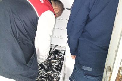 Kırklareli’nde su ürünleri denetiminde 110 koli istavrite cezai işlem