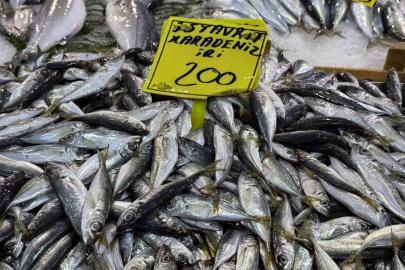 Kocaeli’de balık tezgahlarındaki son durum