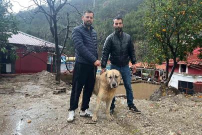 Köpeğini sel sularından kurtaran sahibi o anları anlattı